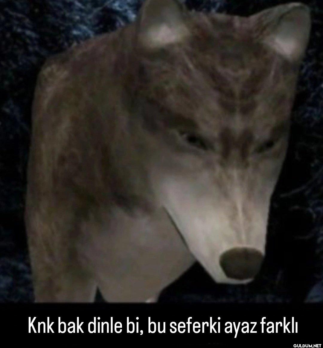 Knk bak dinle bi, bu...