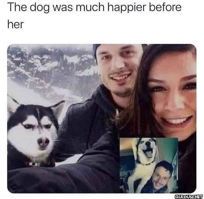 🤣    The dog was much...
