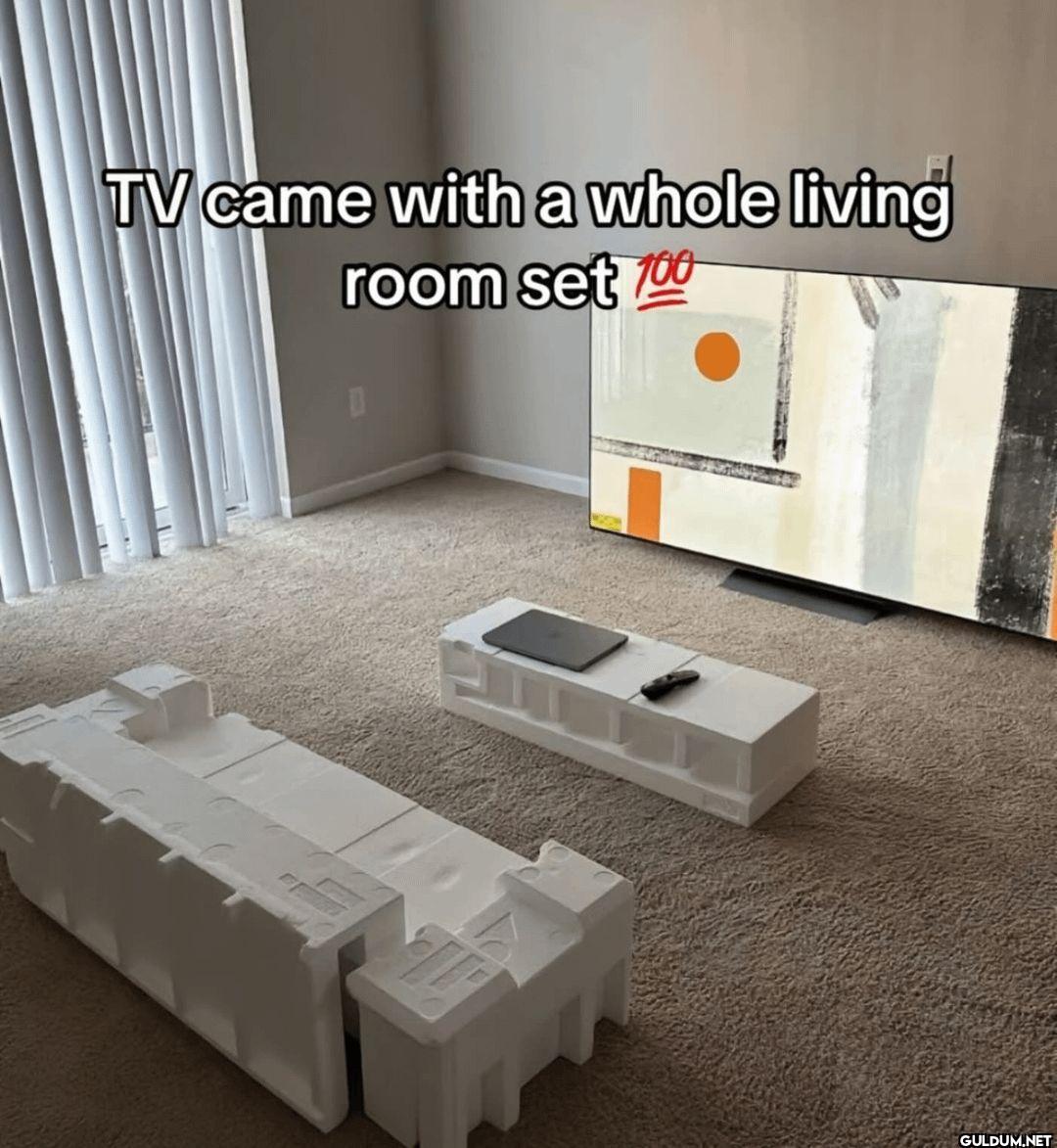 TV came with a whole...