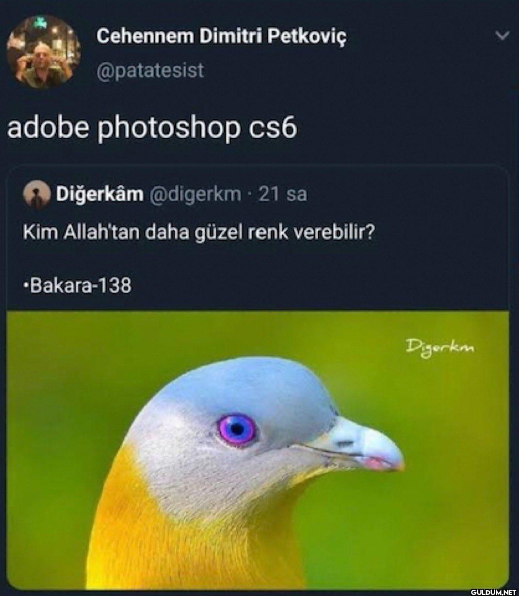 adobe photoshop cs6...