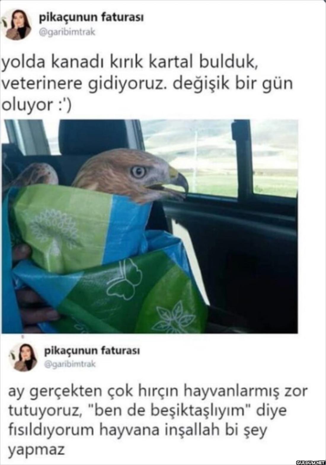 yolda kanadı kırık kartal...