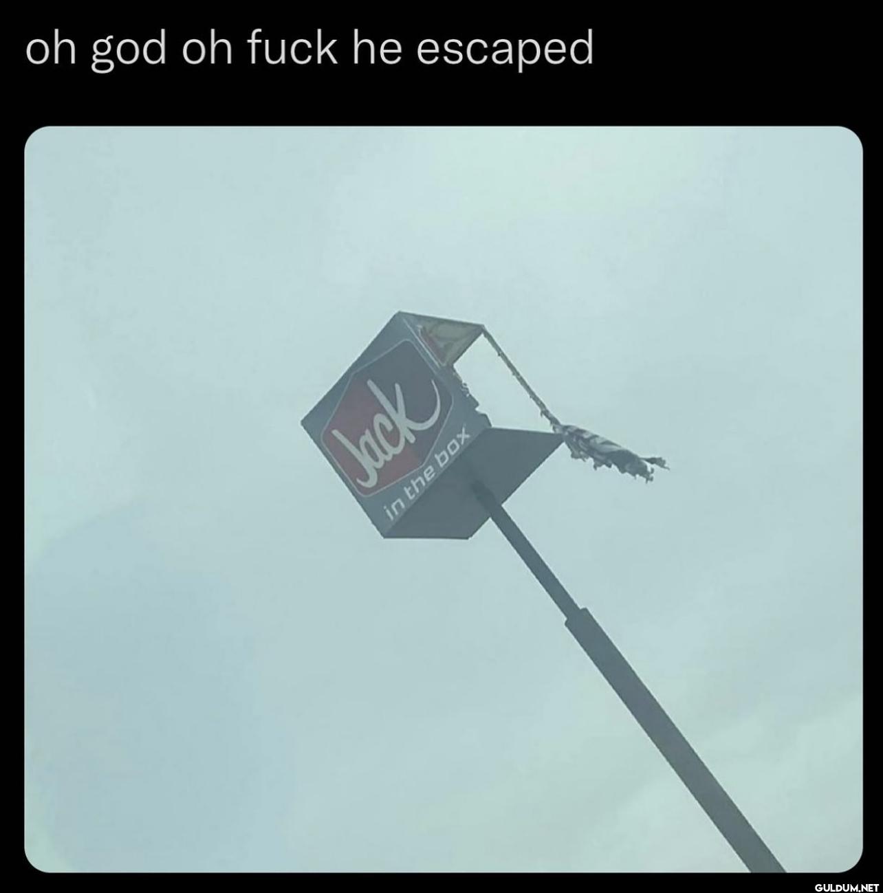 ︎ ︎ ︎ ︎ ︎    oh god oh...