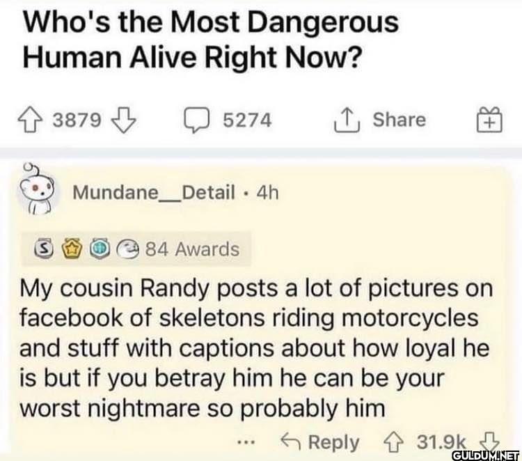 Who's the Most Dangerous...
