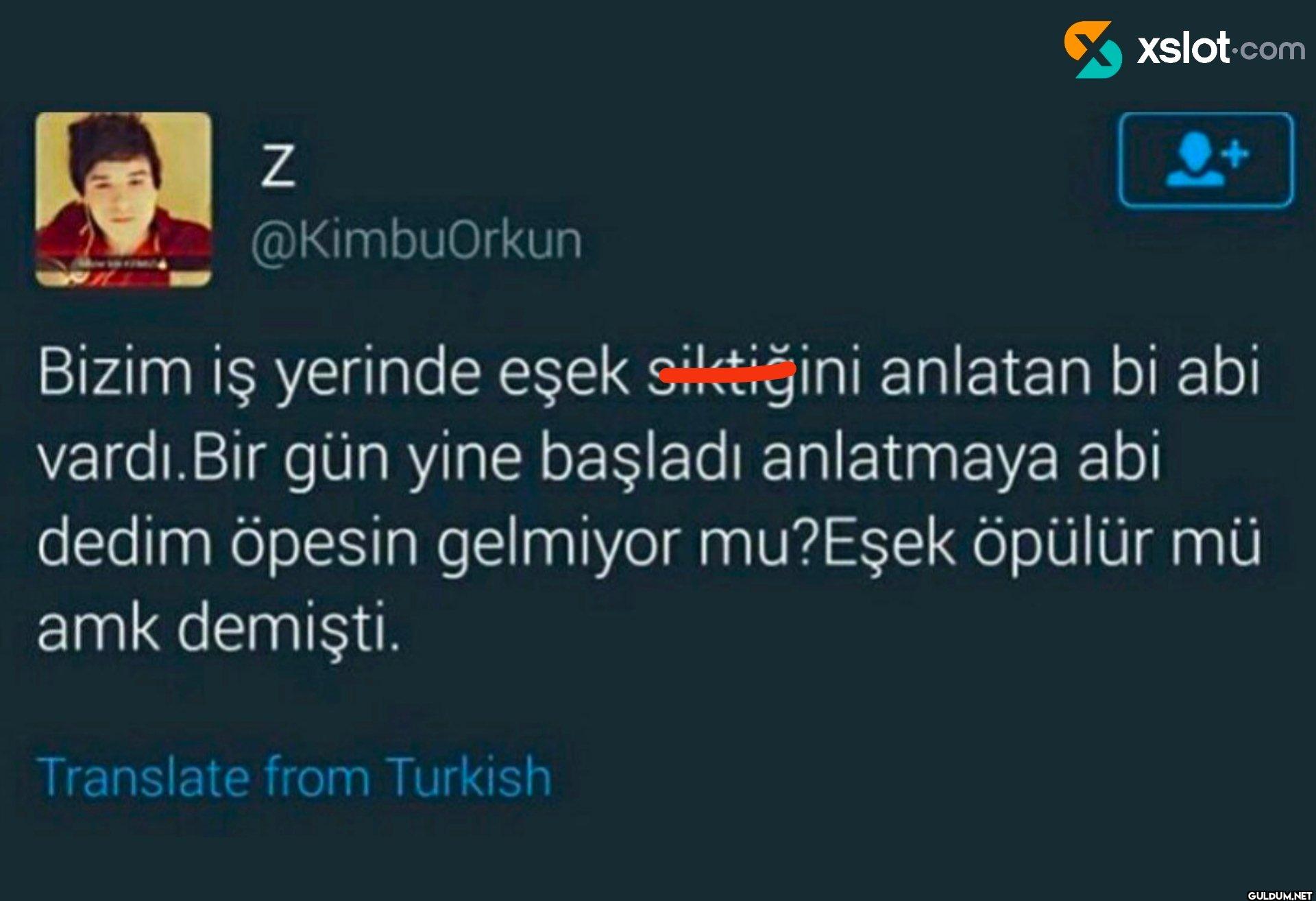 Bizim iş yerinde eşek...