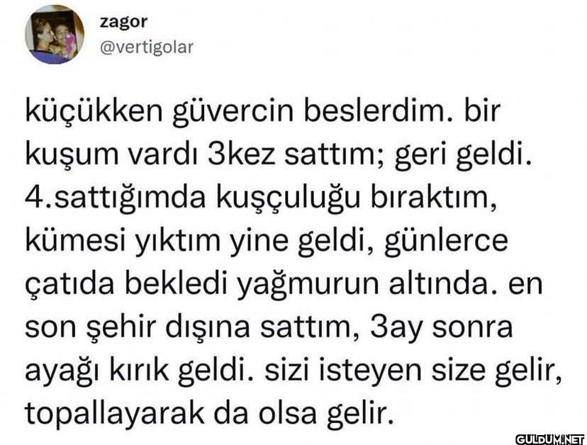 küçükken güvercin...