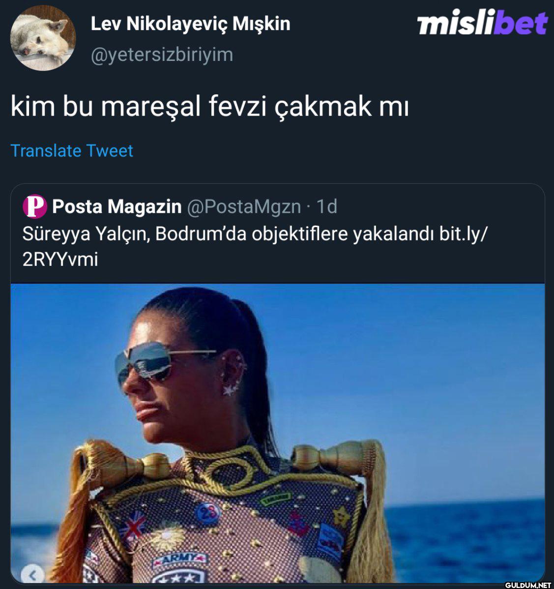 kim bu mareşal fevzi...