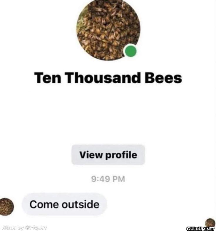 Ten Thousand Bees View...