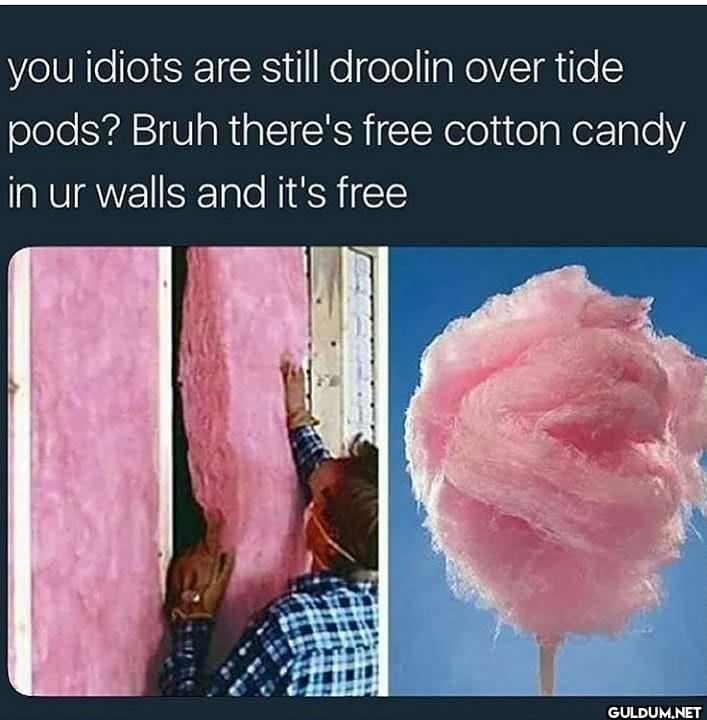 you idiots are still...