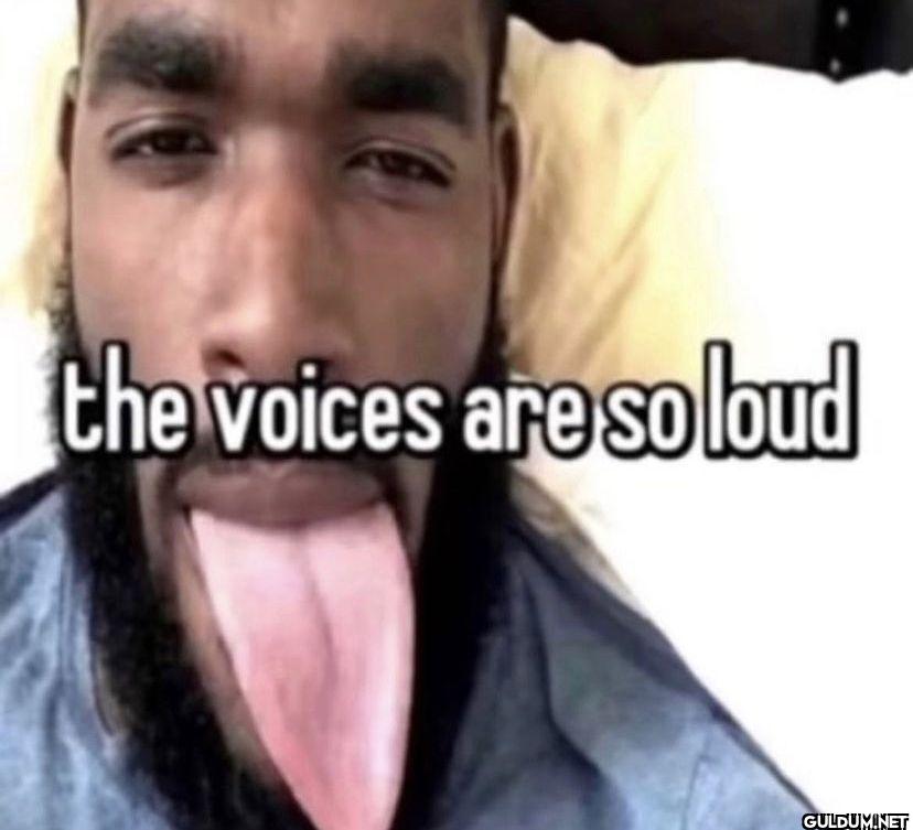 the voices are so loud