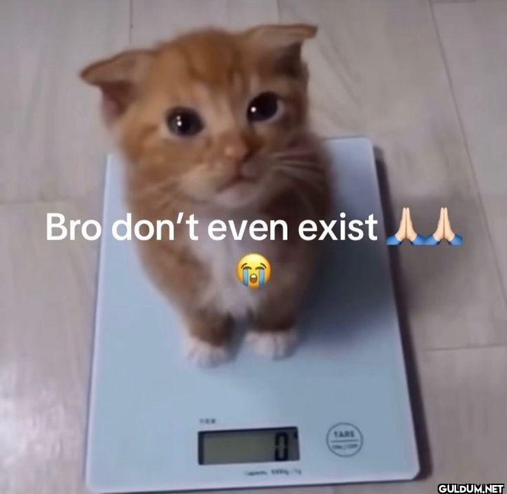 Bro don't even exist