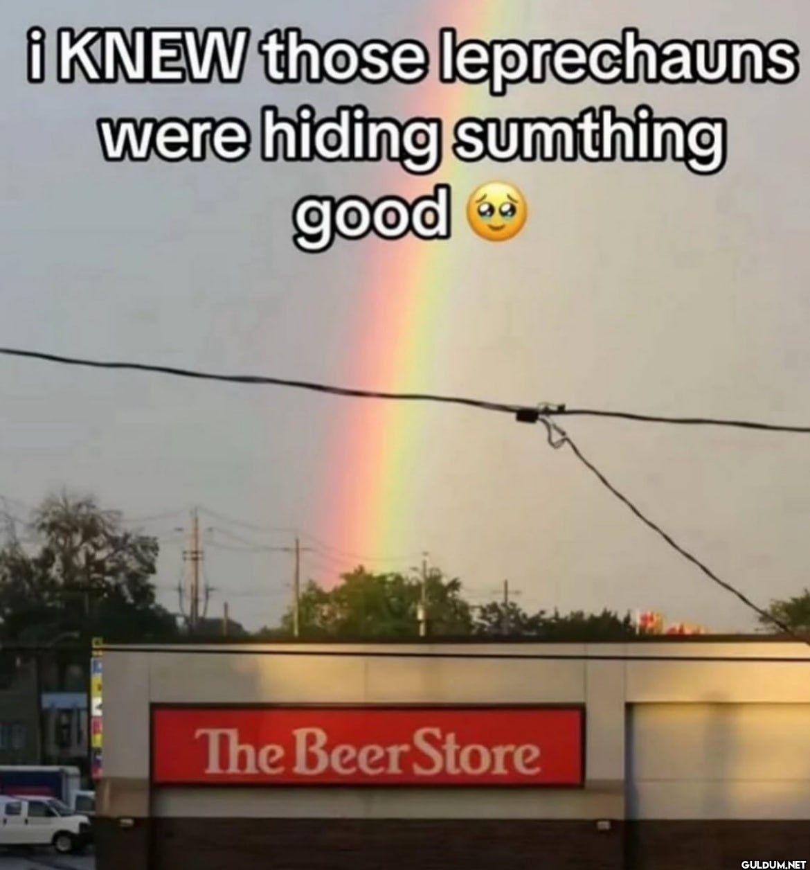 ¡ KNEW those leprechauns...