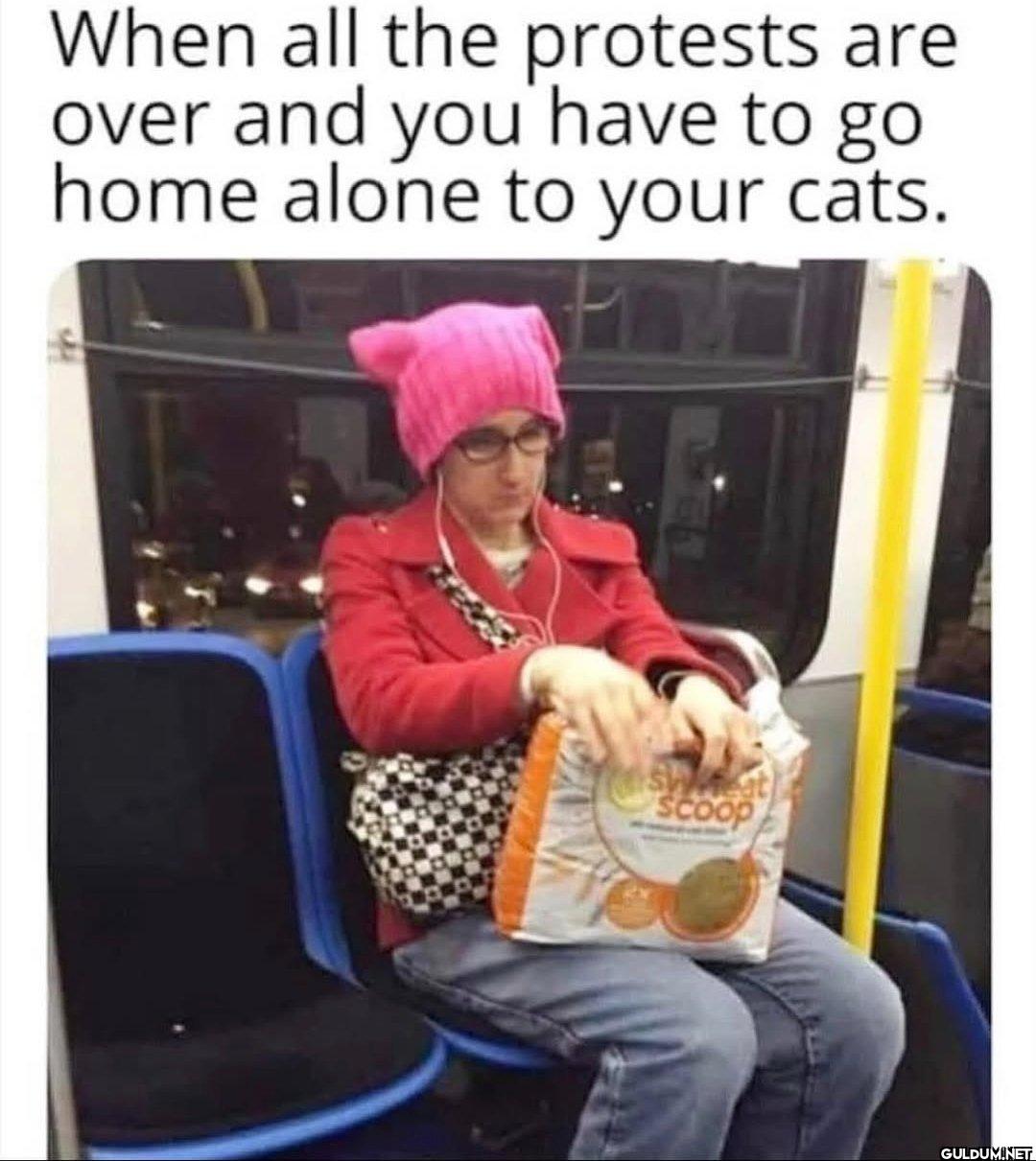 I feel bad for those cats....