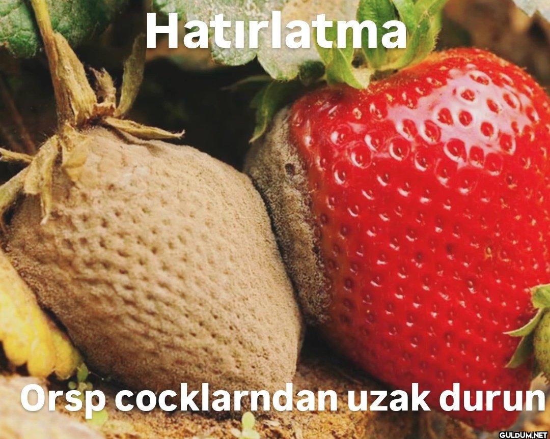 Hatırlatma Orsp...