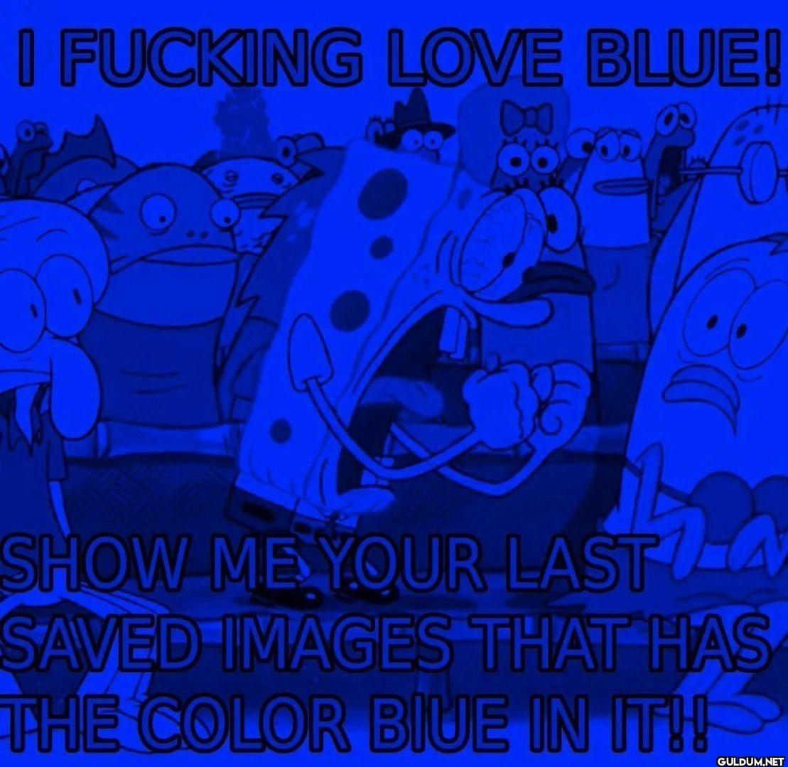 I FUCKING LOVE BLUE! 80...