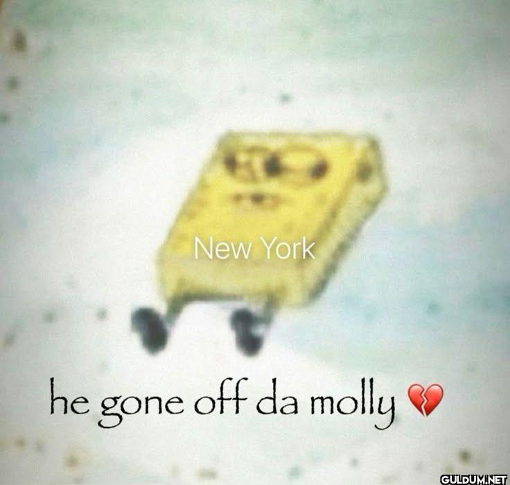 New York he gone off da molly