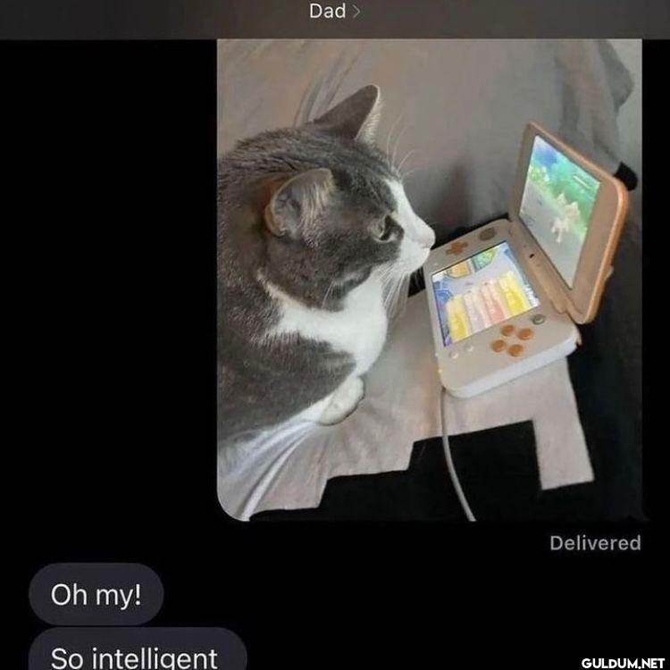 Dad Delivered Oh my! So intelligent