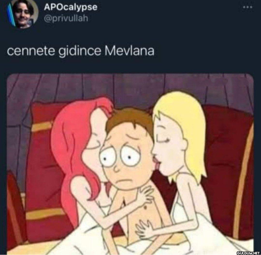 cennete gidince Mevlana