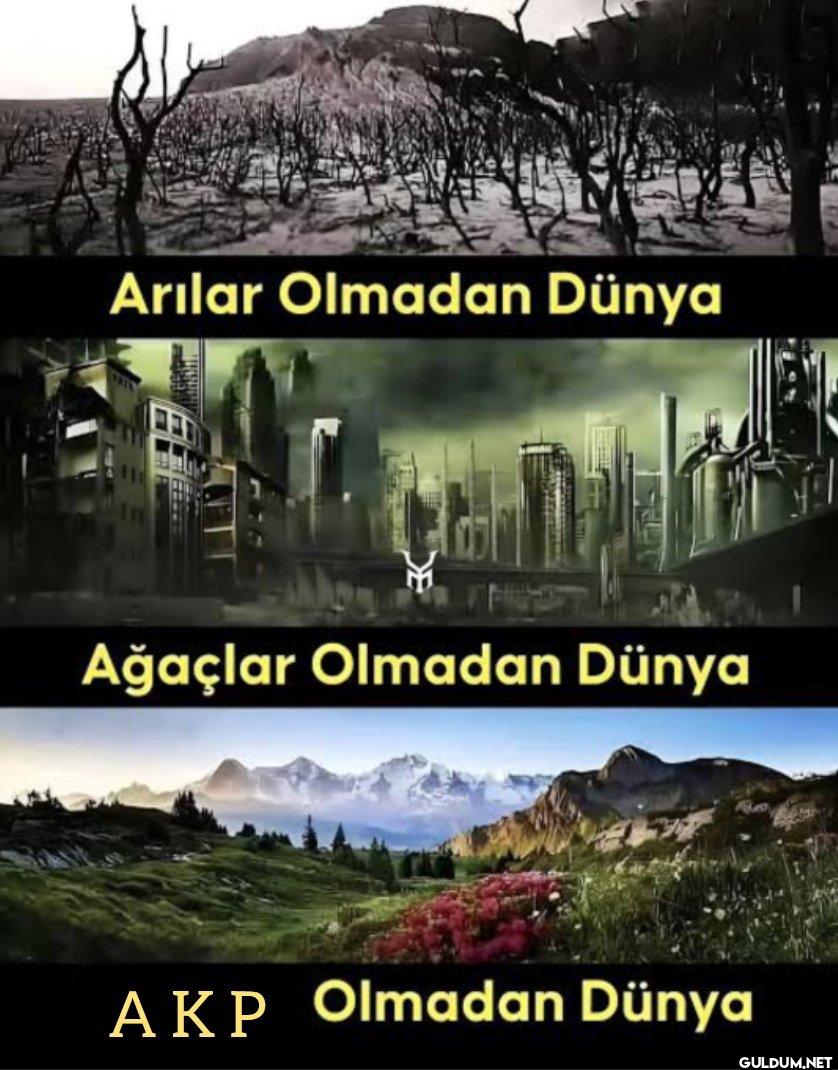 Onların Gördüğü / Benim...