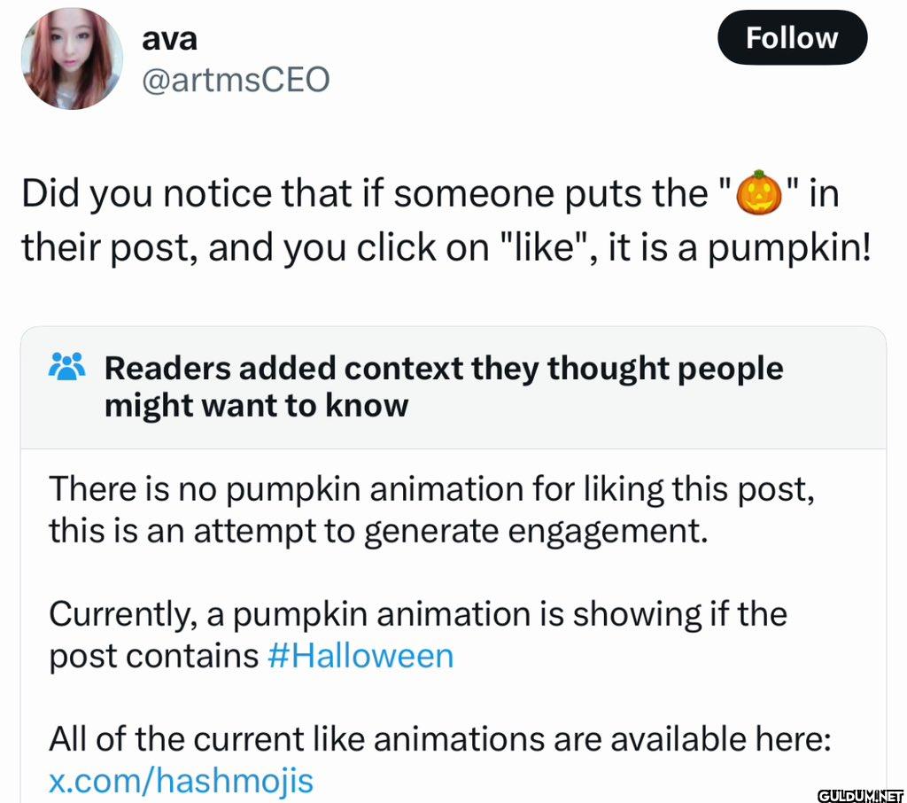 Follow Did you notice that...