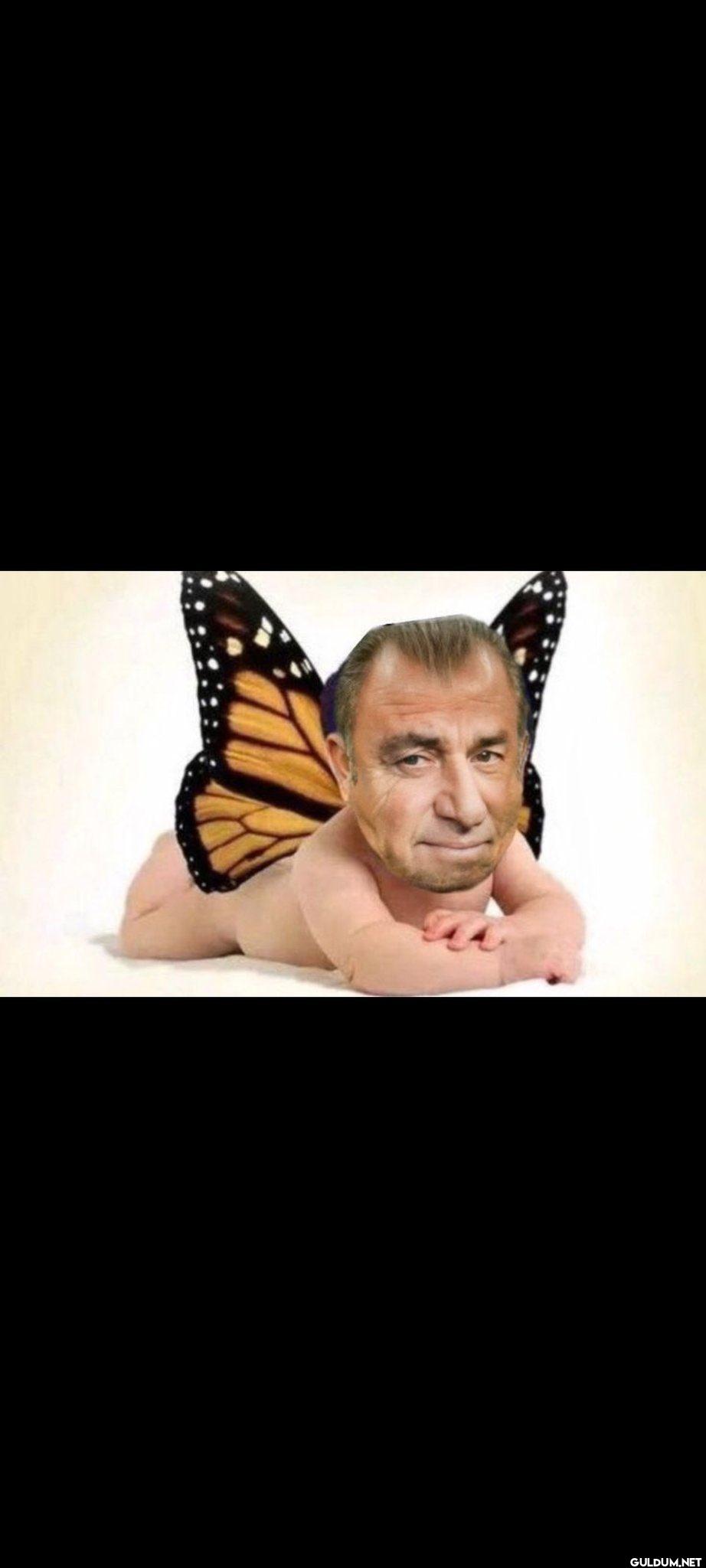 UP TEPE KUP TEPE Nabeel...