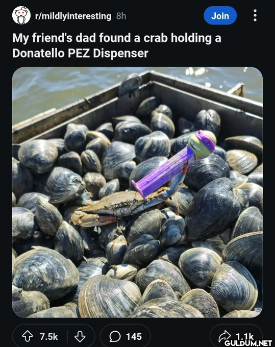 Popular post