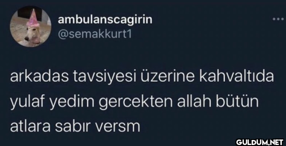 arkadas tavsiyesi üzerine...