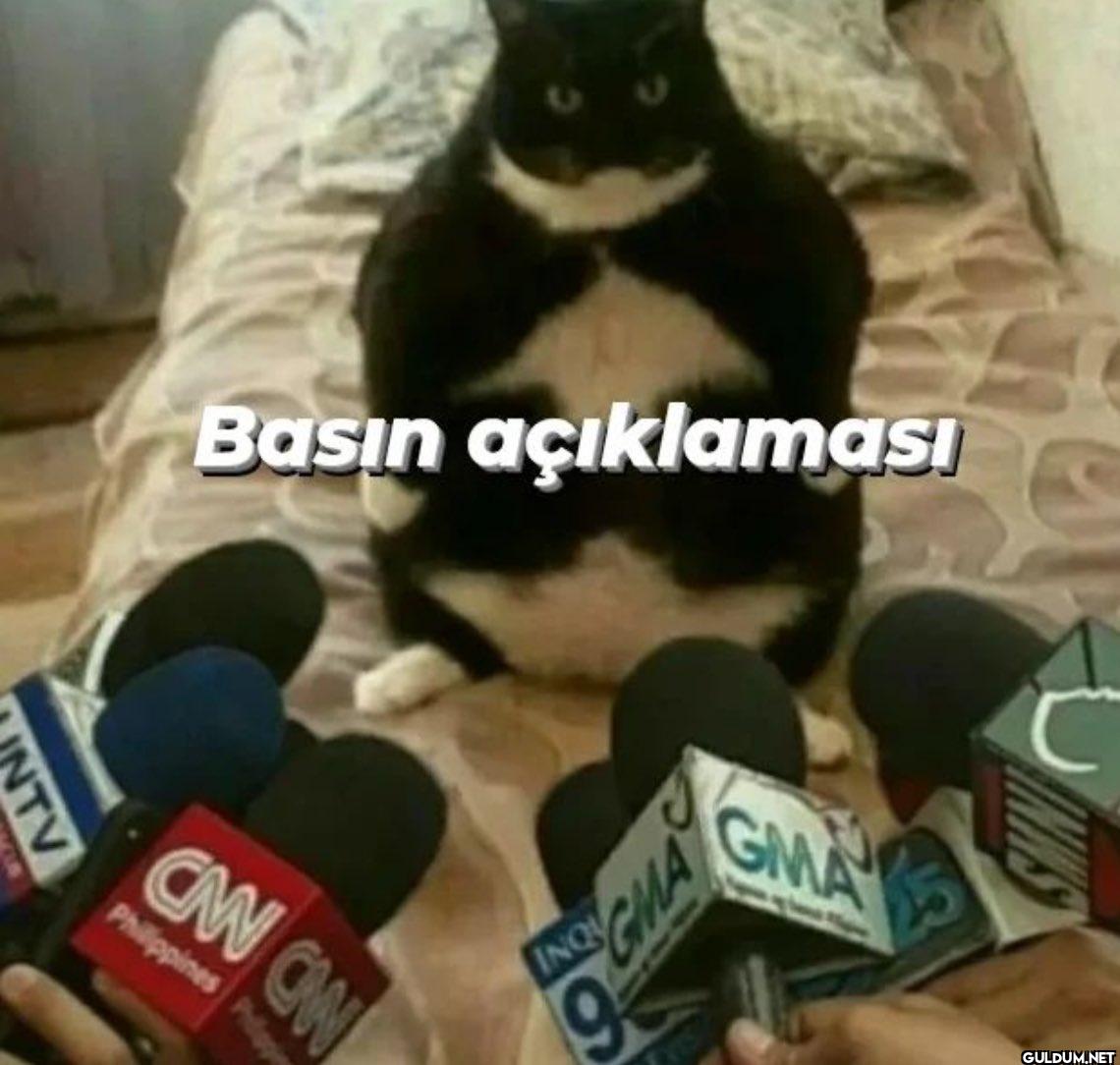 Basın açıklaması NTV CAN...