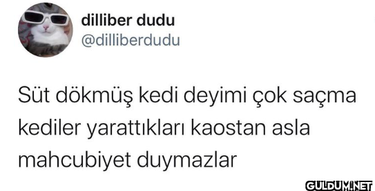 Süt dökmüş kedi deyimi çok...
