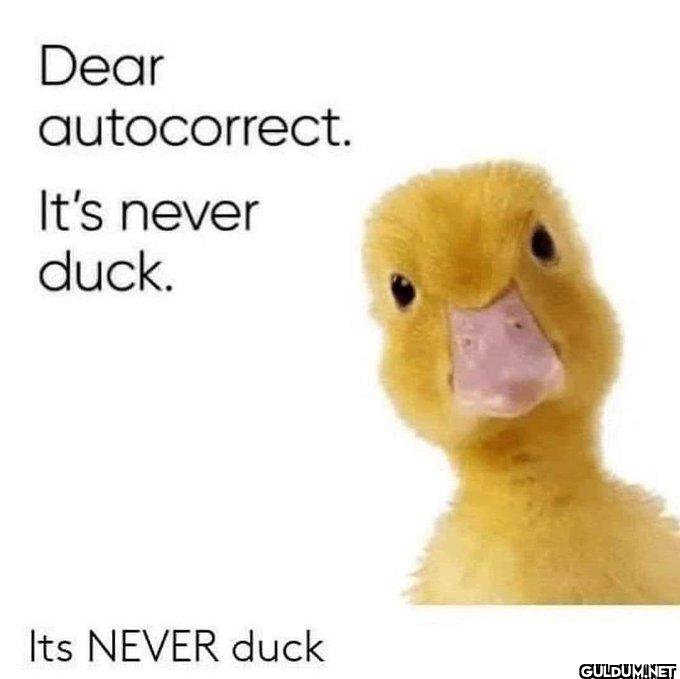 Popular post