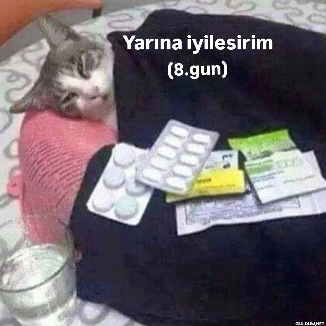 Yarına iyilesirim (8.gun)