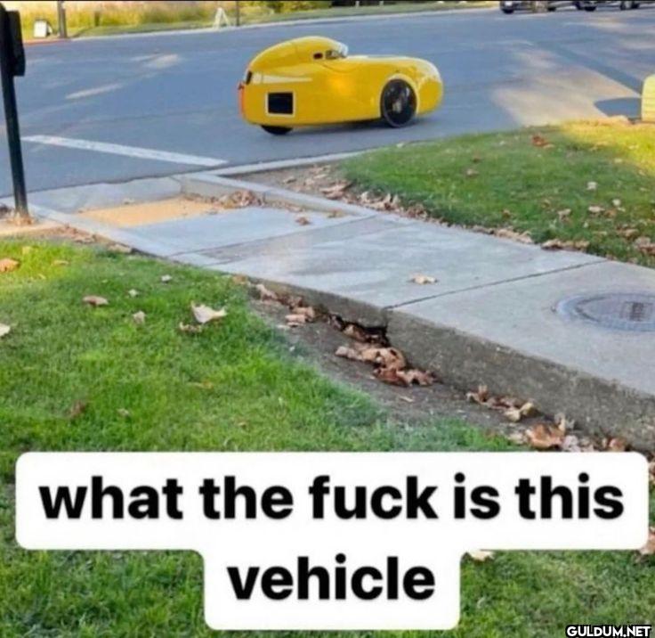what the fuck is this vehicle
