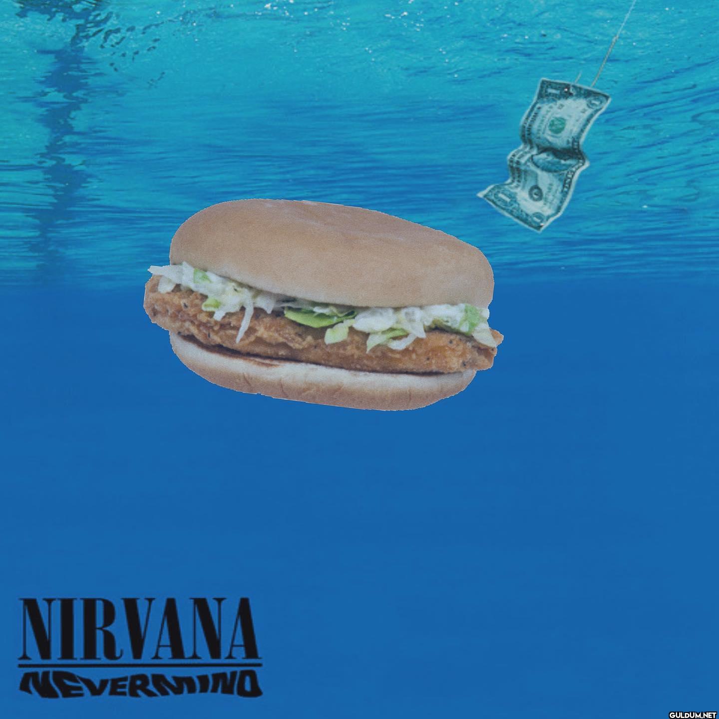 ︎ ︎ ︎ ︎ ︎ ︎    NIRVANA NEVERNO