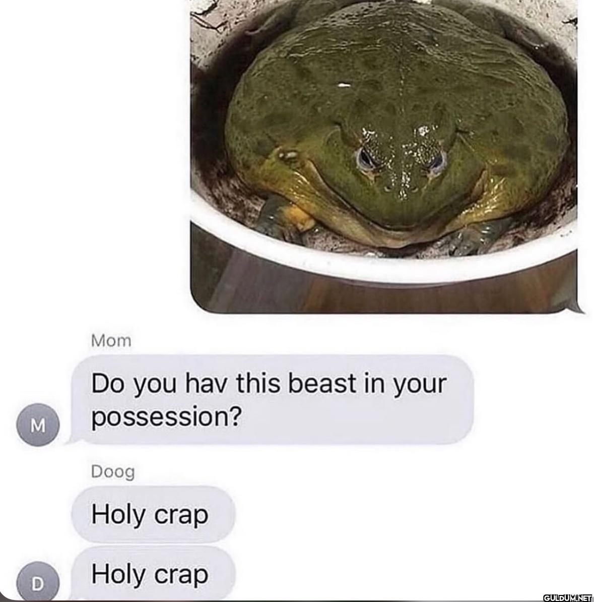 M Mom Do you hav this...
