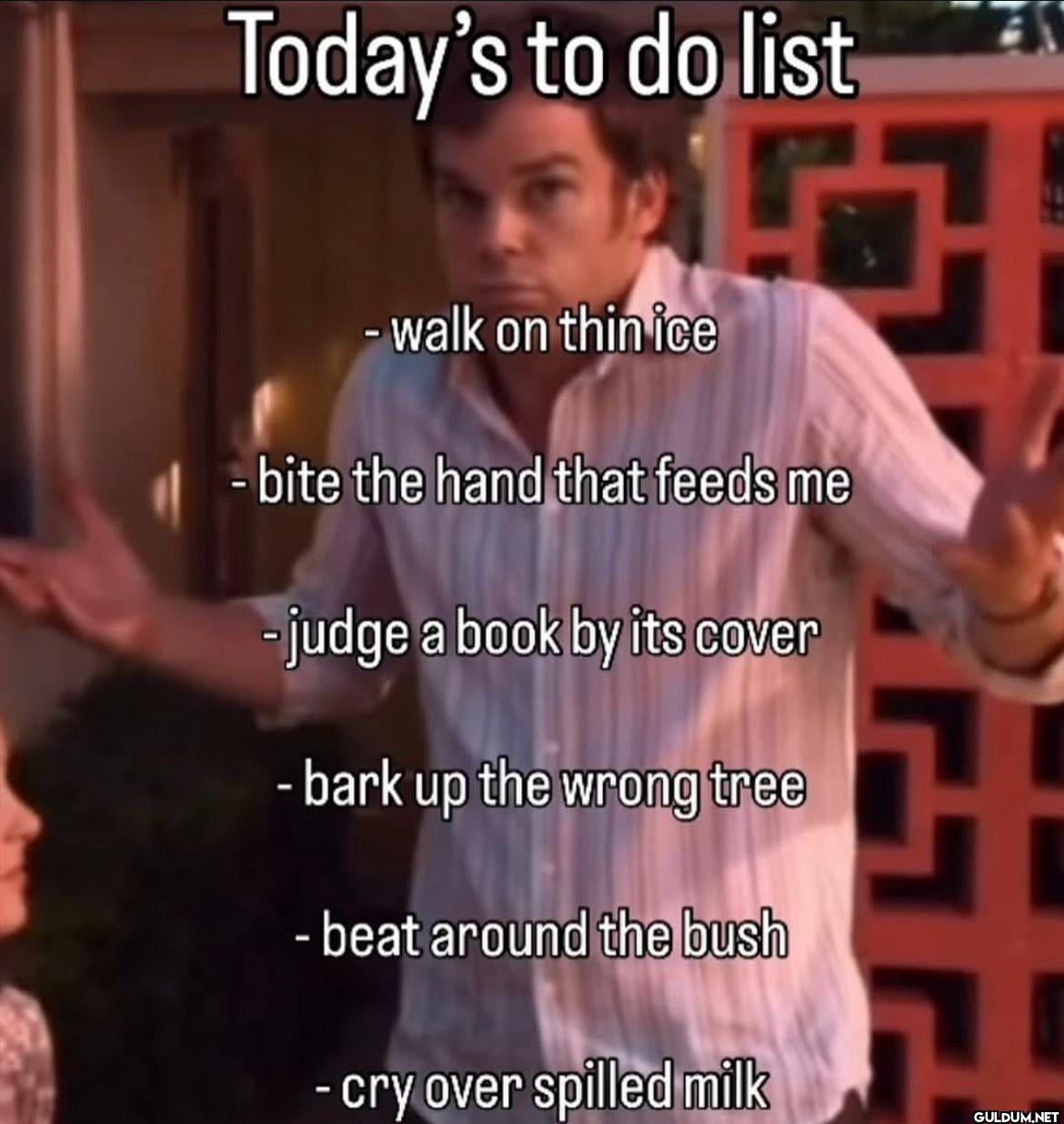 Today's to do list - walk...