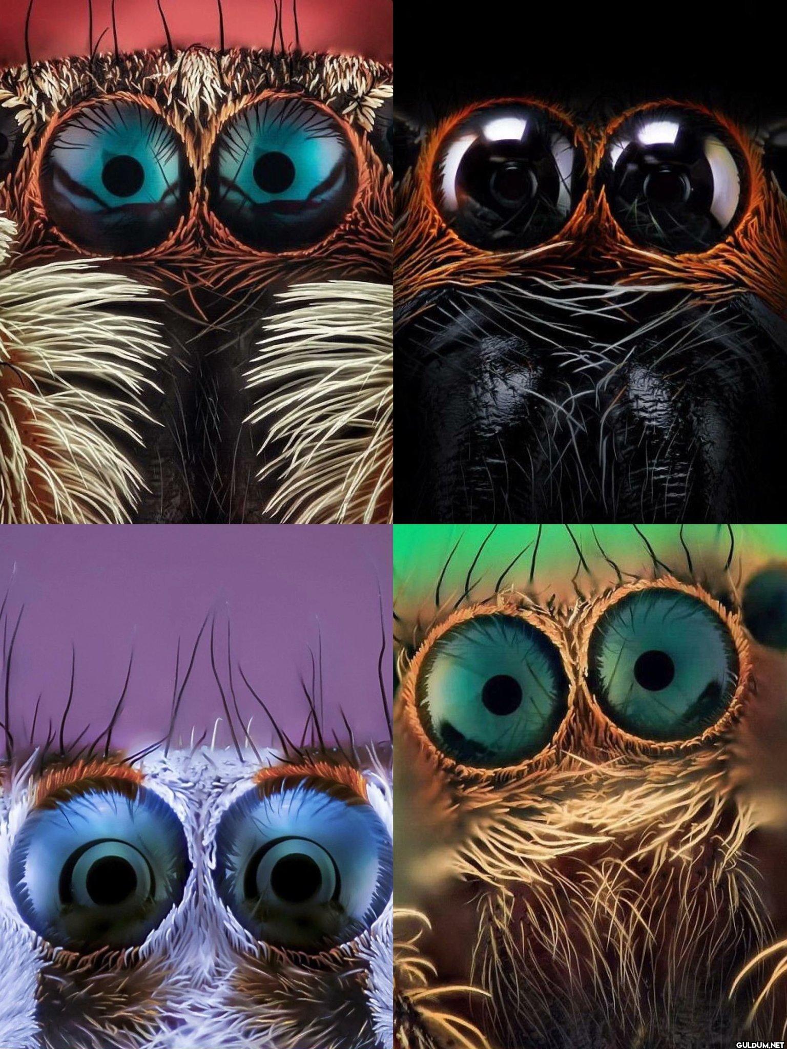 10. Close-up shots of...
