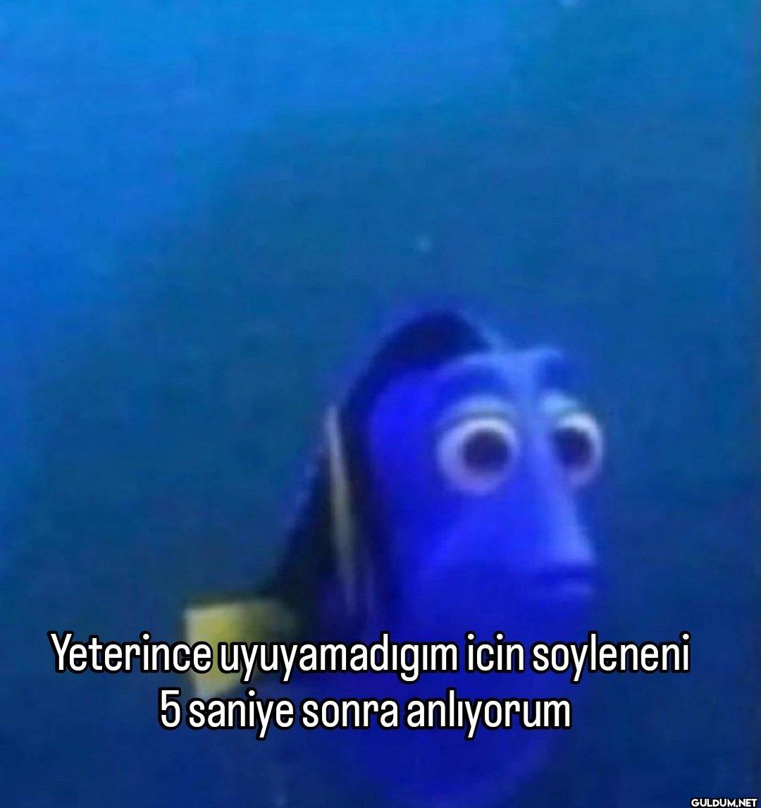 Yeterince uyuyamadıgım...