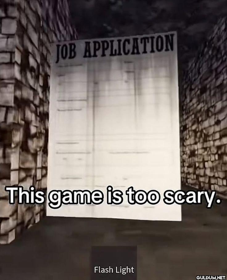 JOB APPLICATION This game...