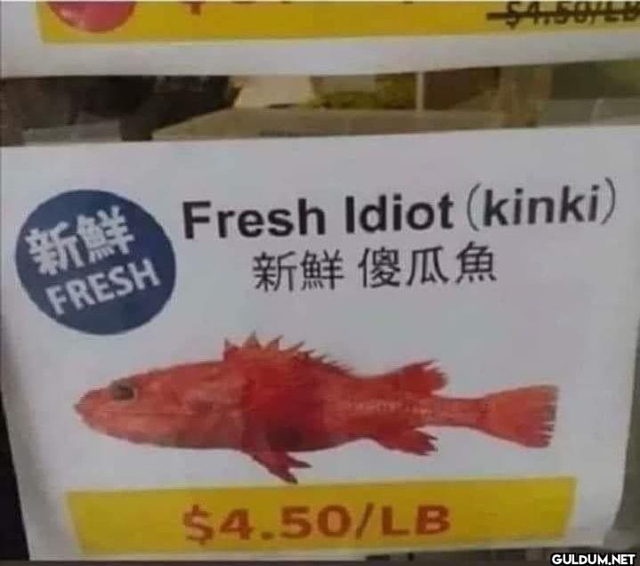 ︎ ︎ ︎ ︎    商選 Fresh Idiot...