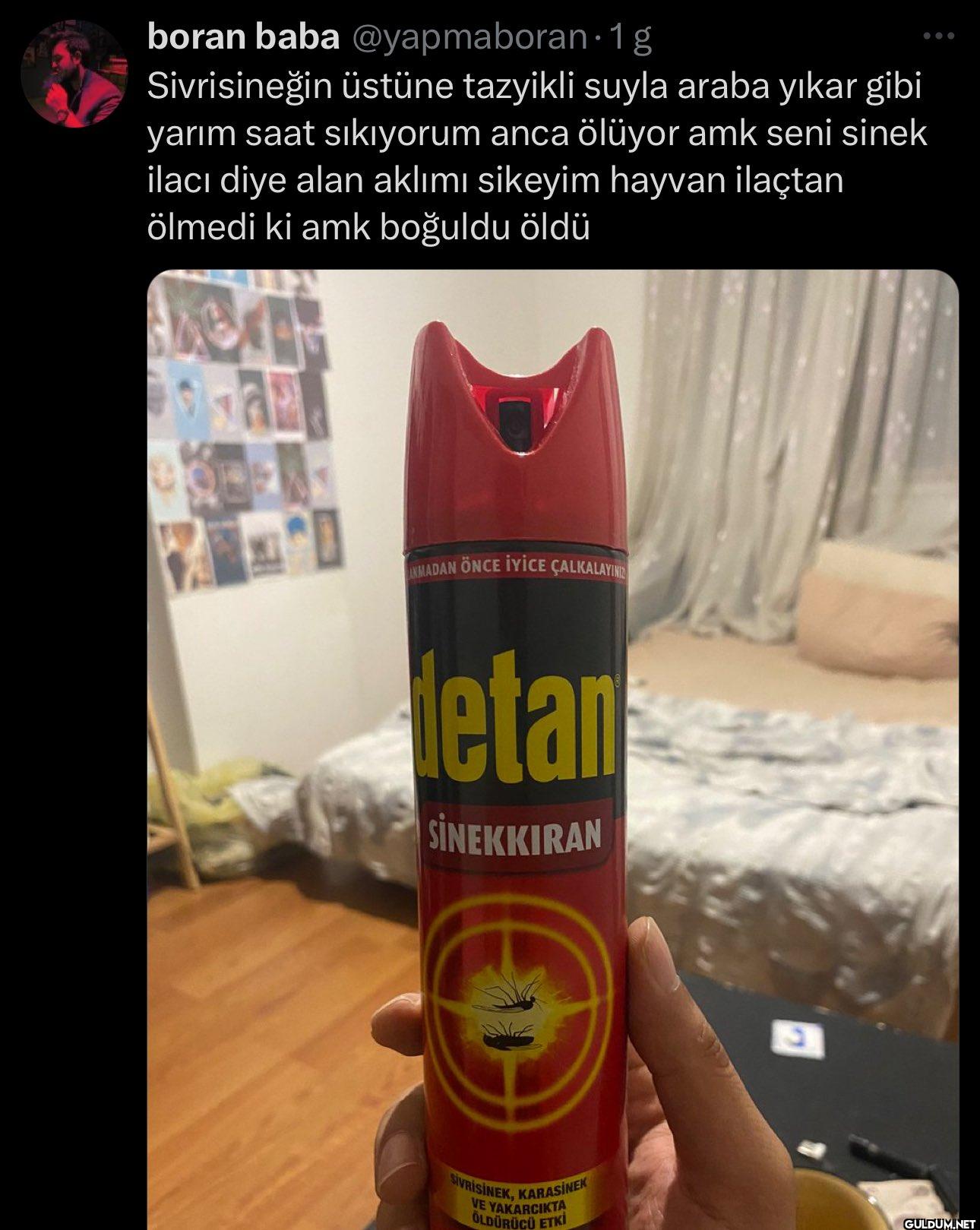 1 g Sivrisineğin üstüne...