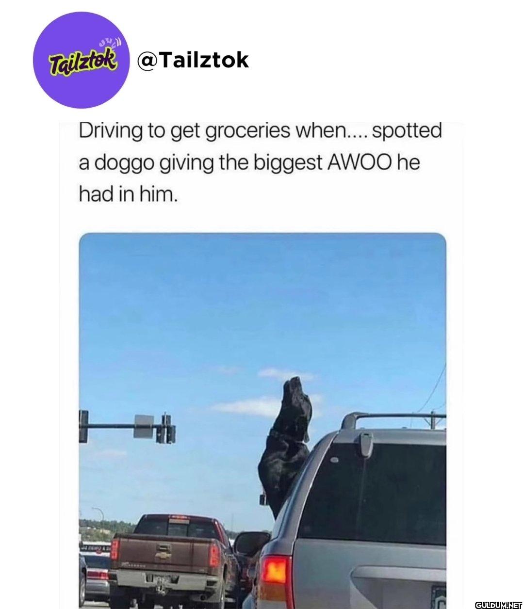 Why does bro look...