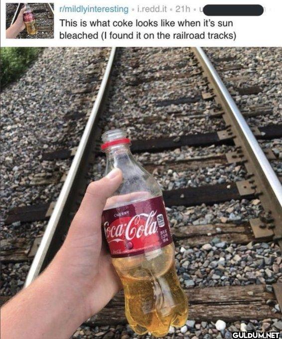 ㅤ    r/mildlyinteresting...