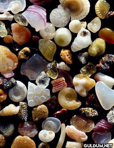 18. Sand under the microscope