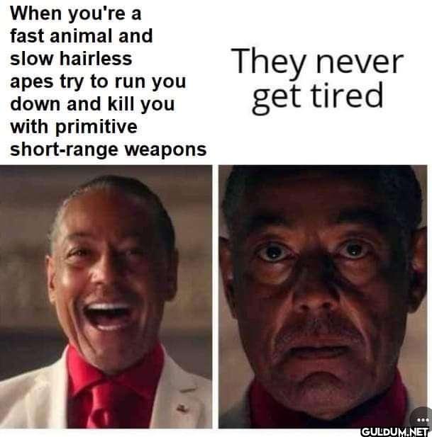 When you're a fast animal...