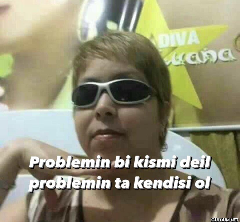 DIVA Lana Problemin bi...