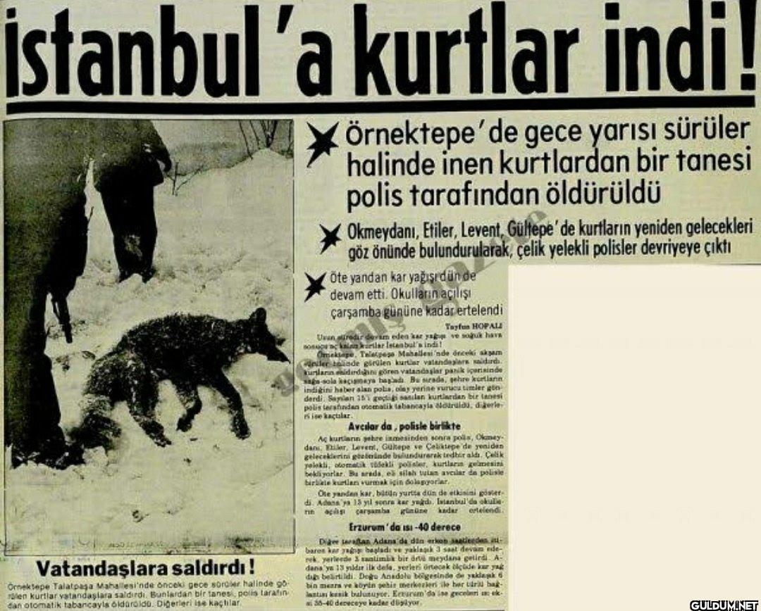 Yüz yıldır böylesini...