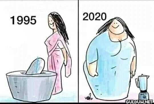 12.    1995 2020