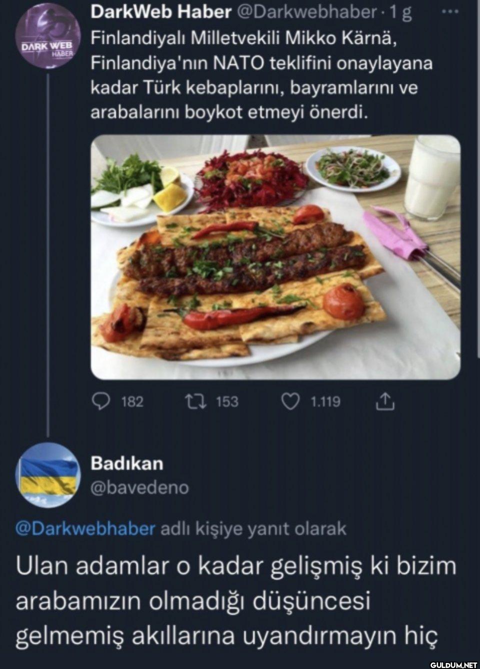 - 1 g Finlandiyalı...