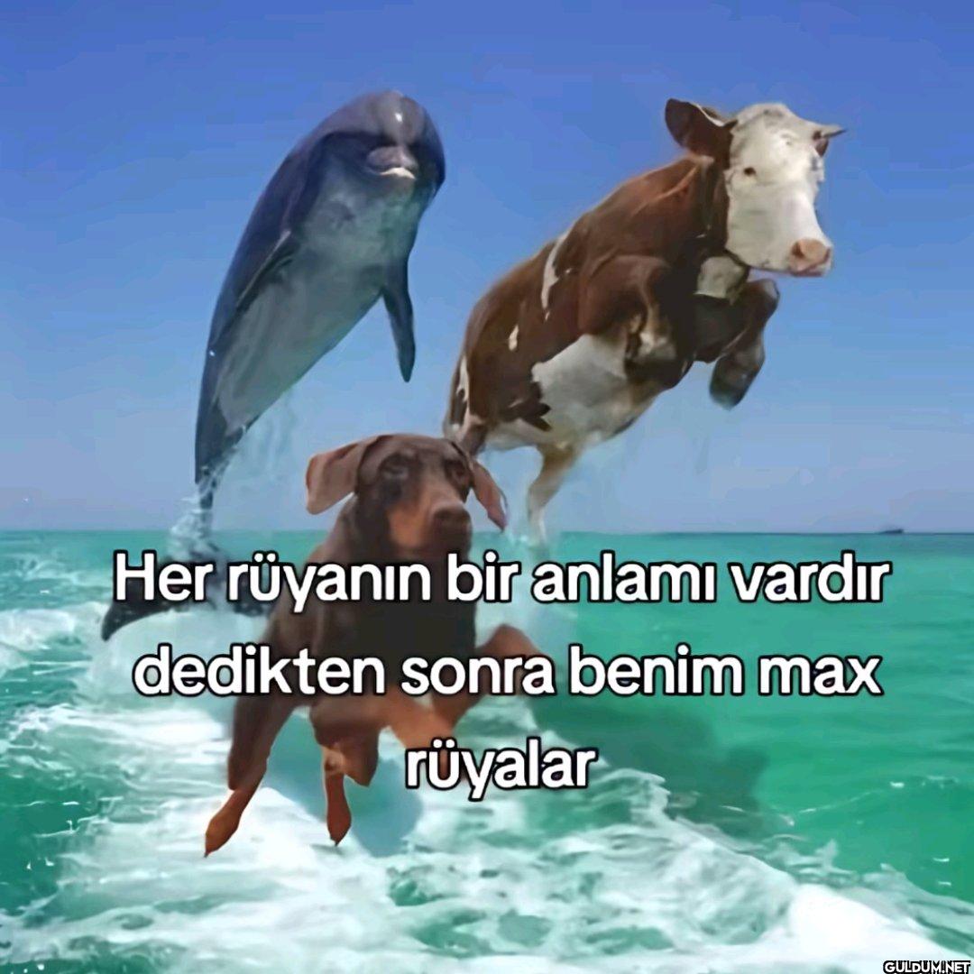 Her rüyanın bir anlamı...