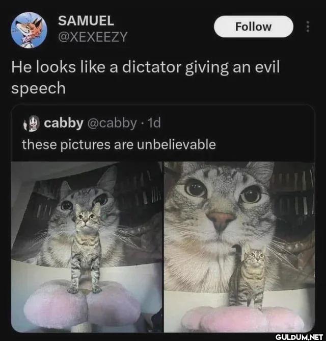 He looks a dictator giving...