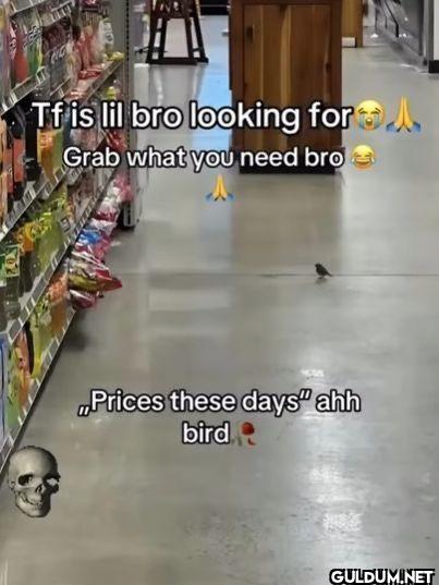 Tf is lil bro looking for...